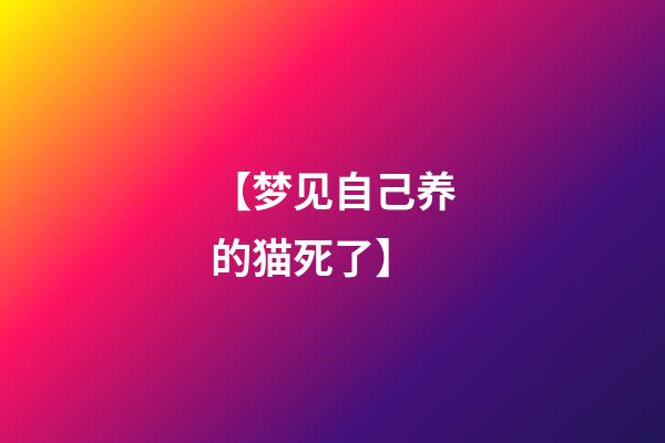 【梦见自己养的猫死了】