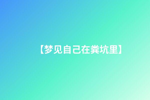 【梦见自己在粪坑里】