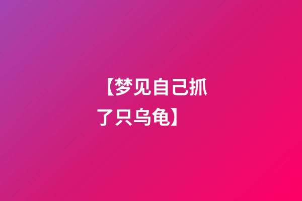 【梦见自己抓了只乌龟】