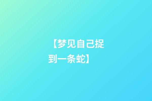 【梦见自己捉到一条蛇】