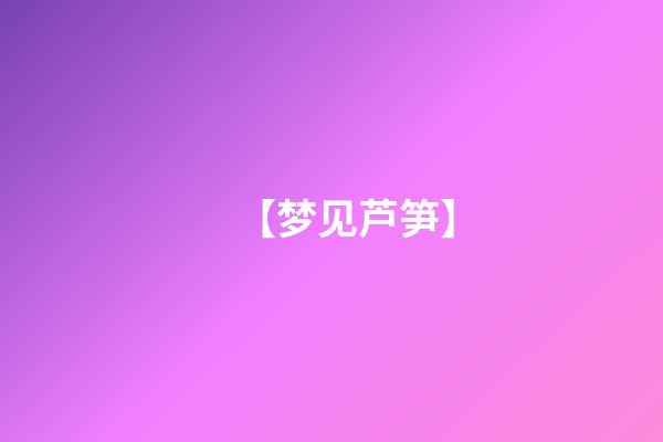 【梦见芦笋】