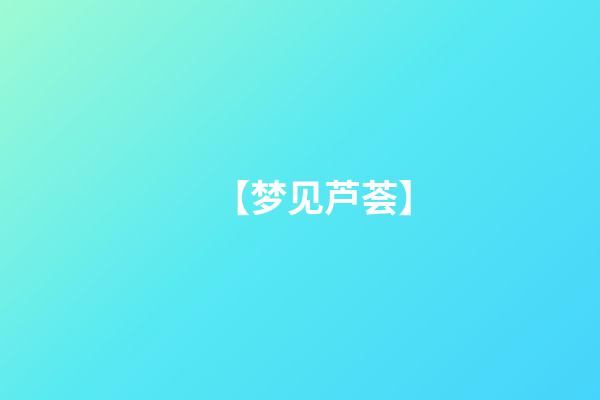 【梦见芦荟】