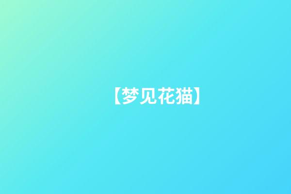 【梦见花猫】