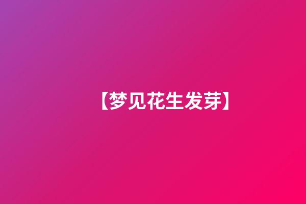 【梦见花生发芽】