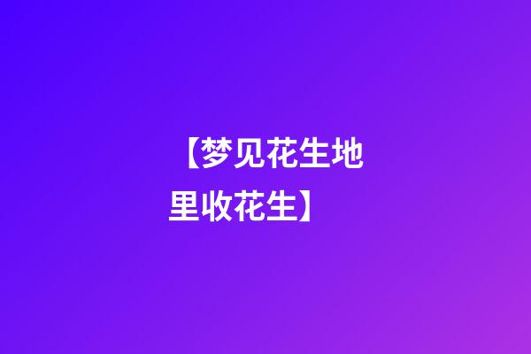 【梦见花生地里收花生】