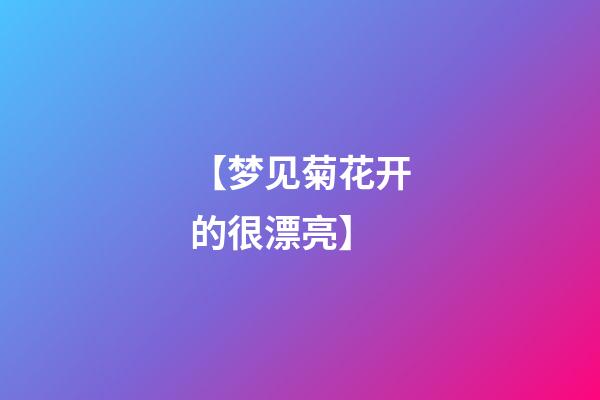 【梦见菊花开的很漂亮】