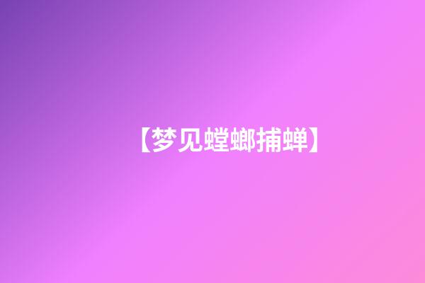 【梦见螳螂捕蝉】