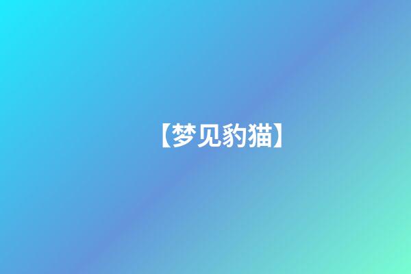 【梦见豹猫】