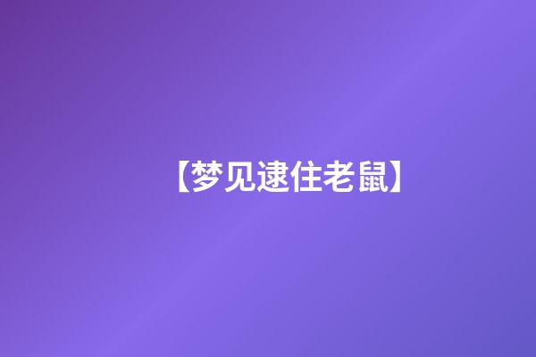 【梦见逮住老鼠】