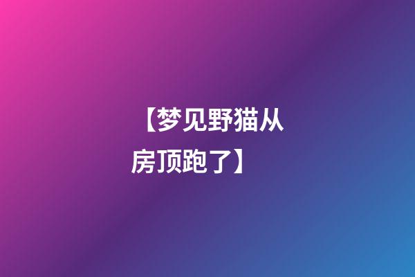 【梦见野猫从房顶跑了】