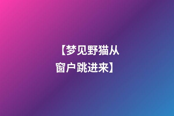 【梦见野猫从窗户跳进来】