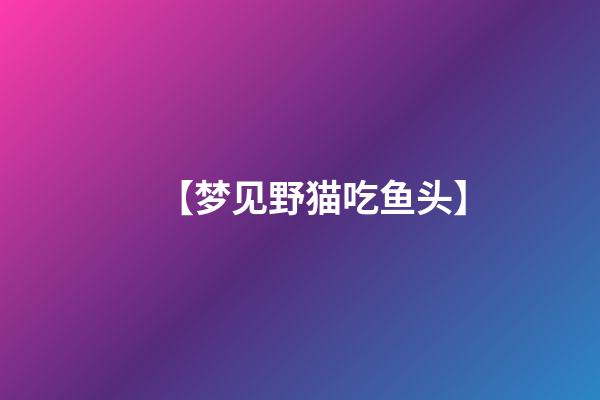 【梦见野猫吃鱼头】