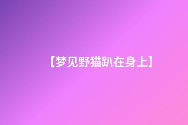 【梦见野猫趴在身上】