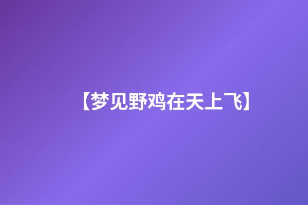 【梦见野鸡在天上飞】