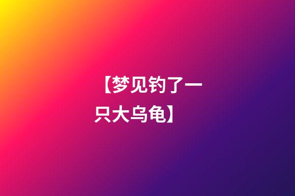 【梦见钓了一只大乌龟】