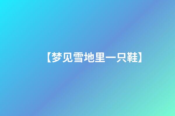 【梦见雪地里一只鞋】