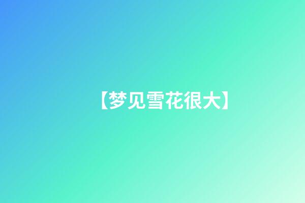 【梦见雪花很大】