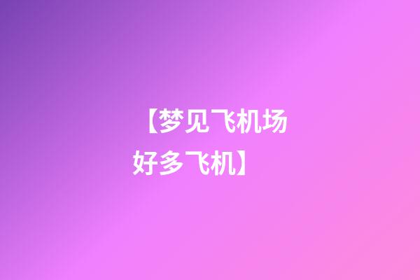【梦见飞机场好多飞机】