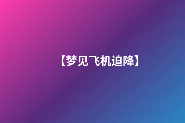 【梦见飞机迫降】