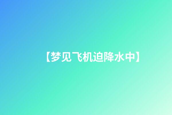 【梦见飞机迫降水中】