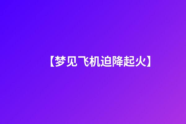 【梦见飞机迫降起火】
