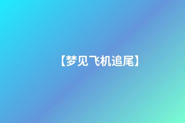 【梦见飞机追尾】