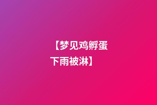 【梦见鸡孵蛋下雨被淋】