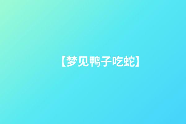 【梦见鸭子吃蛇】