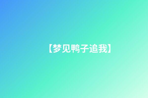 【梦见鸭子追我】