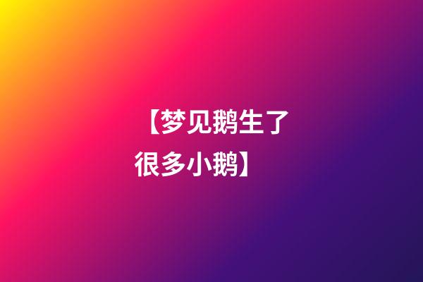 【梦见鹅生了很多小鹅】