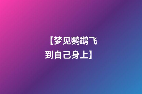 【梦见鹦鹉飞到自己身上】