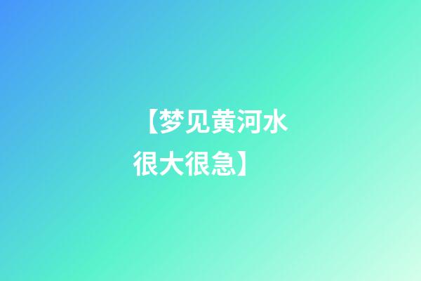 【梦见黄河水很大很急】