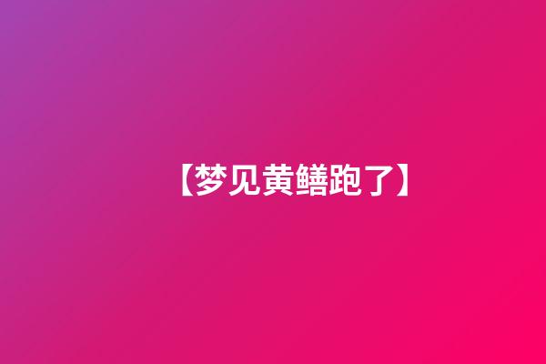【梦见黄鳝跑了】