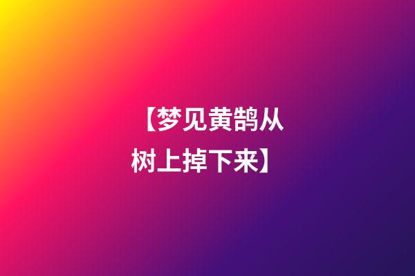 【梦见黄鹄从树上掉下来】