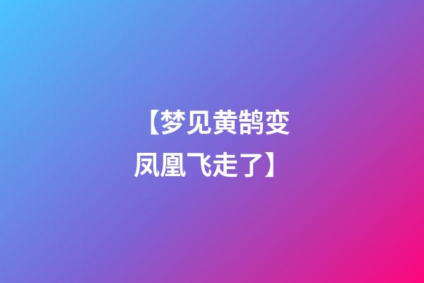 【梦见黄鹄变凤凰飞走了】