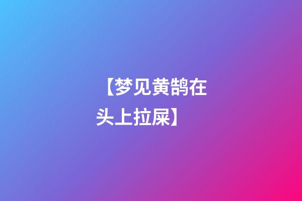 【梦见黄鹄在头上拉屎】