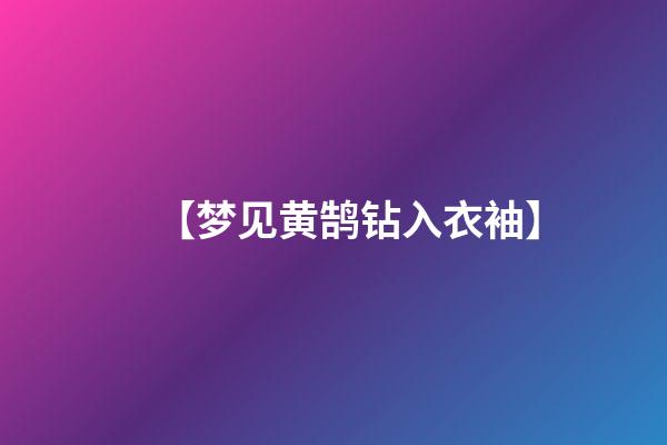 【梦见黄鹄钻入衣袖】