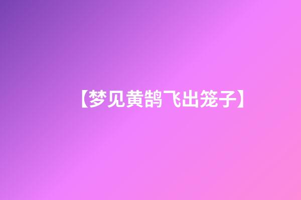 【梦见黄鹄飞出笼子】