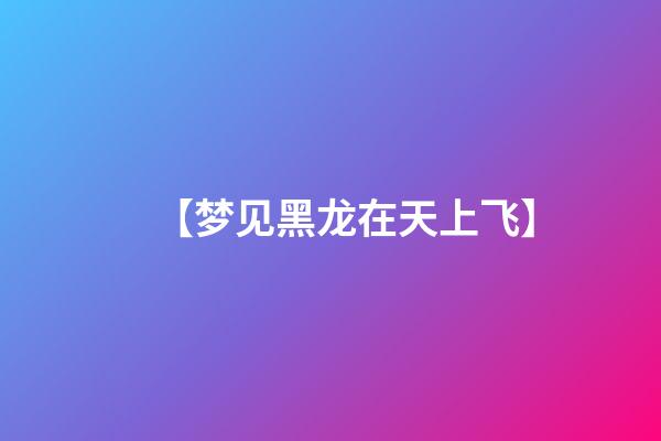 【梦见黑龙在天上飞】