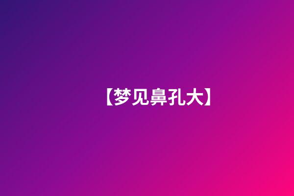 【梦见鼻孔大】