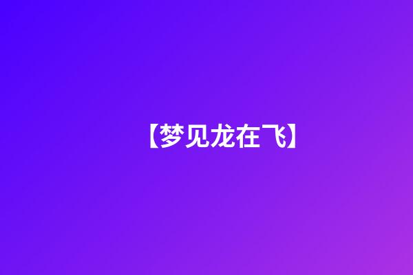 【梦见龙在飞】