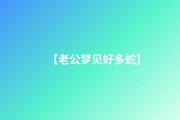 【老公梦见好多蛇】