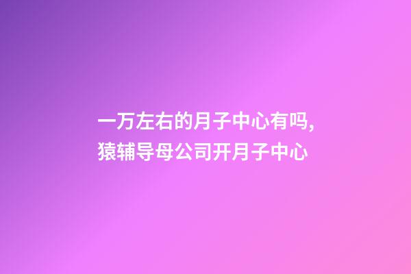 一万左右的月子中心有吗,猿辅导母公司开月子中心-第1张-观点-玄机派