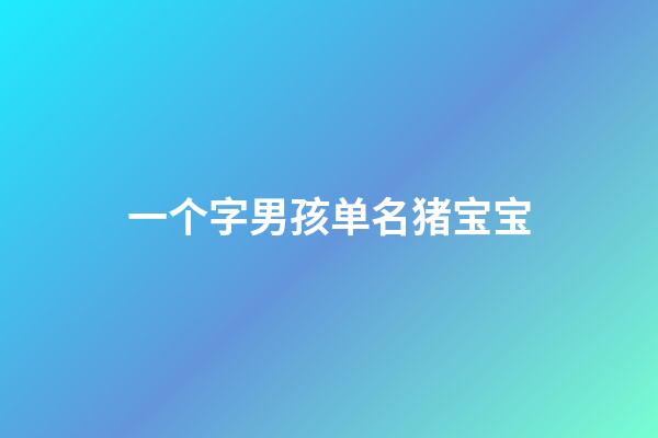 一个字男孩单名猪宝宝