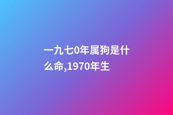 一九七0年属狗是什么命,1970年生-第1张-观点-玄机派