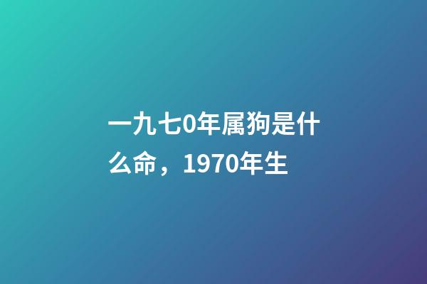 一九七0年属狗是什么命，1970年生-第1张-观点-玄机派