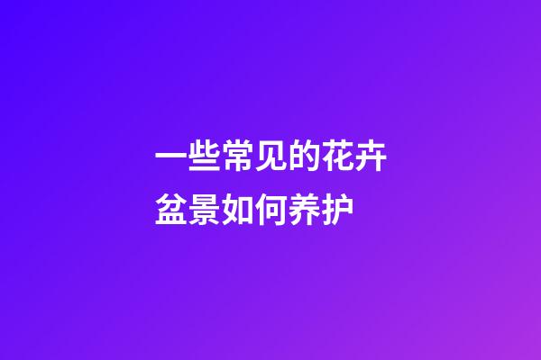 一些常见的花卉盆景如何养护