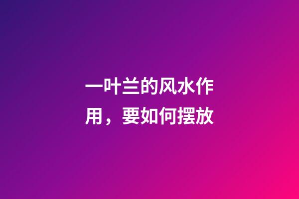 一叶兰的风水作用，要如何摆放