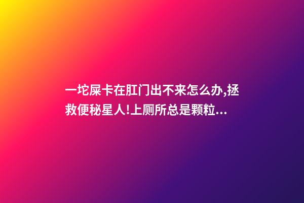 一坨屎卡在肛门出不来怎么办,拯救便秘星人!上厕所总是颗粒无收-第1张-观点-玄机派