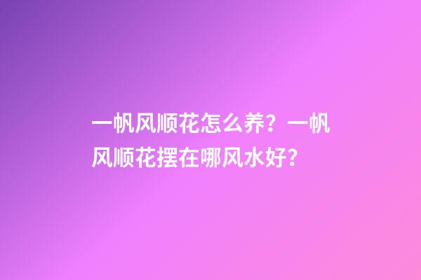 一帆风顺花怎么养？一帆风顺花摆在哪风水好？